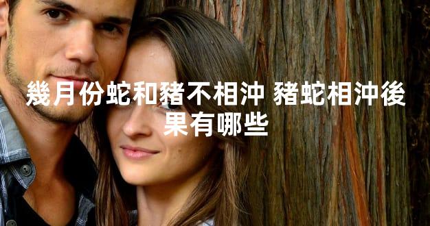 幾月份蛇和豬不相沖 豬蛇相沖後果有哪些